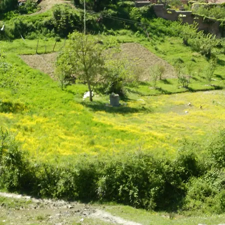 Mugs Pensión Ljaknasi