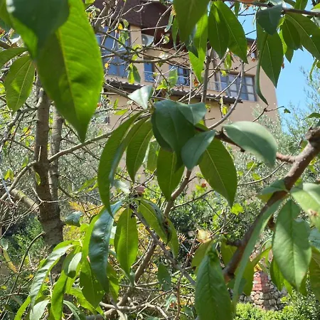 Pensión Mugs Ljaknasi