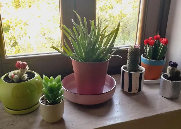 Mugs 4*