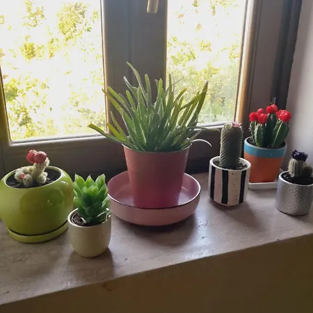 Mugs 4*